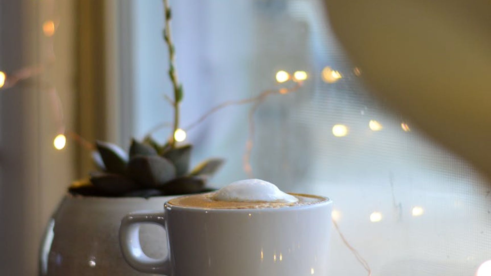 Calm interior with soft morning light and green plants