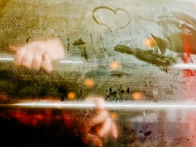 View through a window on a foggy green forest